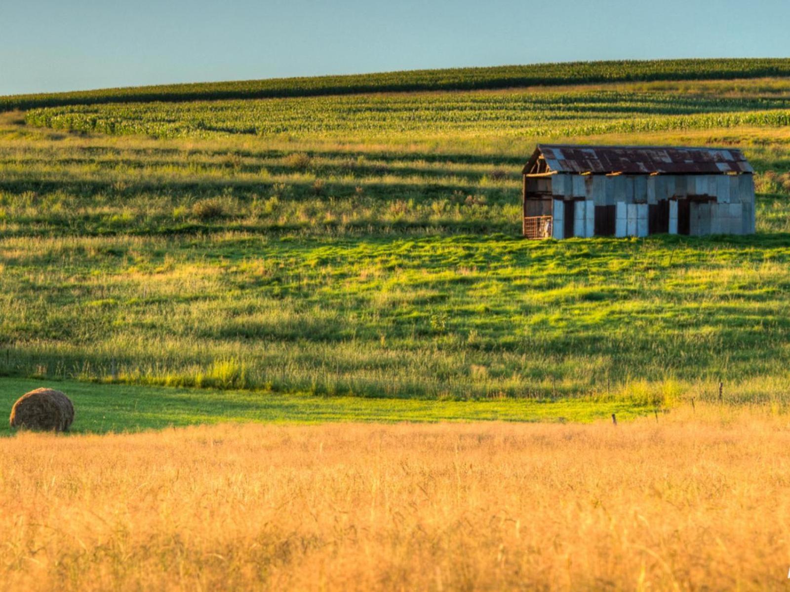 Flitwick Ranch Otel Swartberg Dış mekan fotoğraf