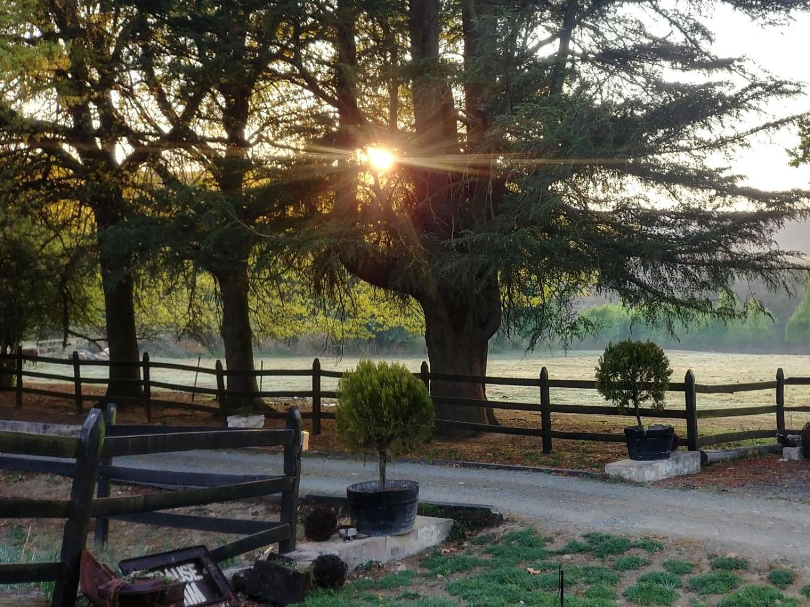 Flitwick Ranch Otel Swartberg Dış mekan fotoğraf