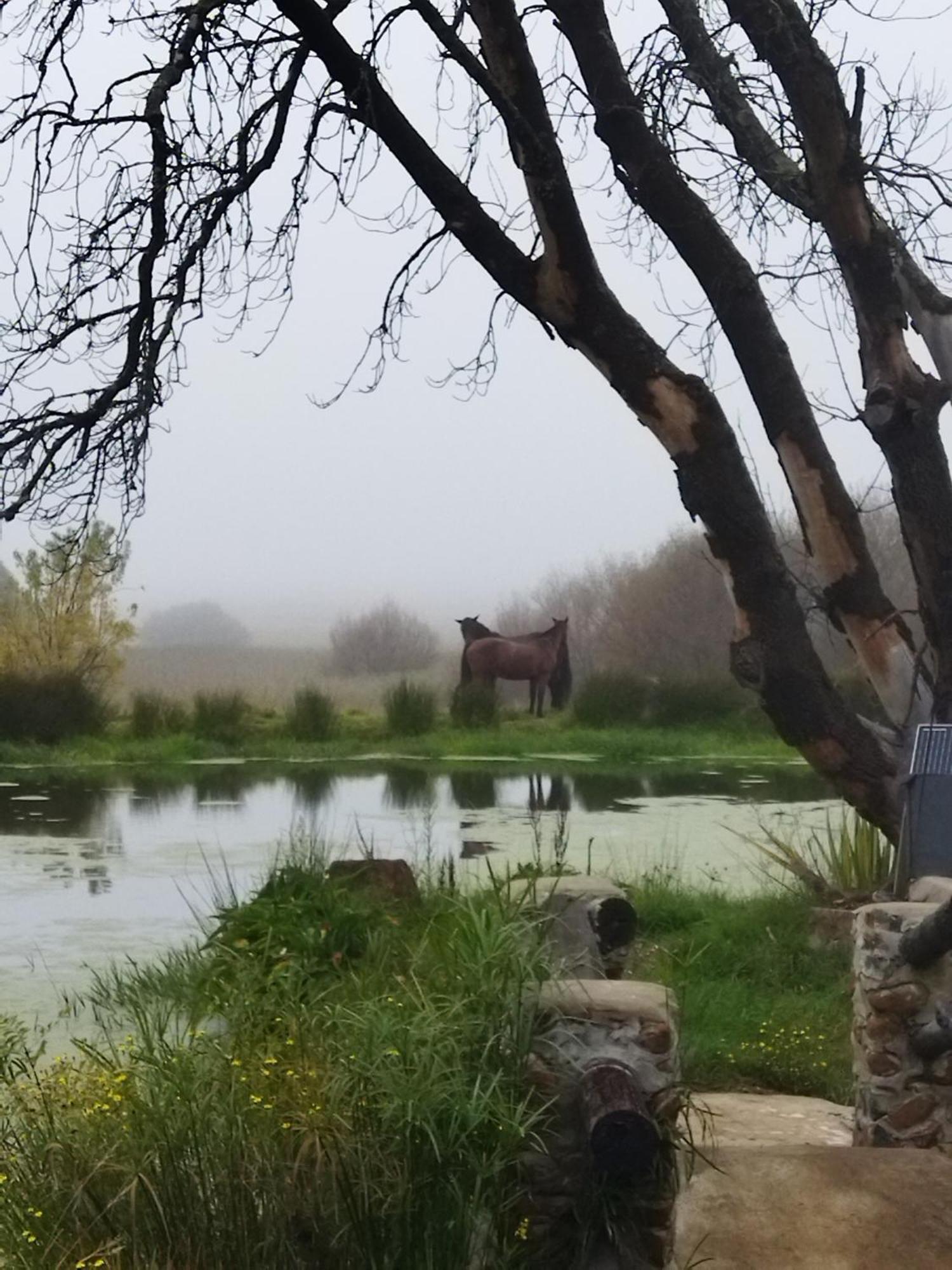 Flitwick Ranch Otel Swartberg Dış mekan fotoğraf